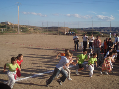 Pollera de Ani&ntilde;&oacute;n 2010